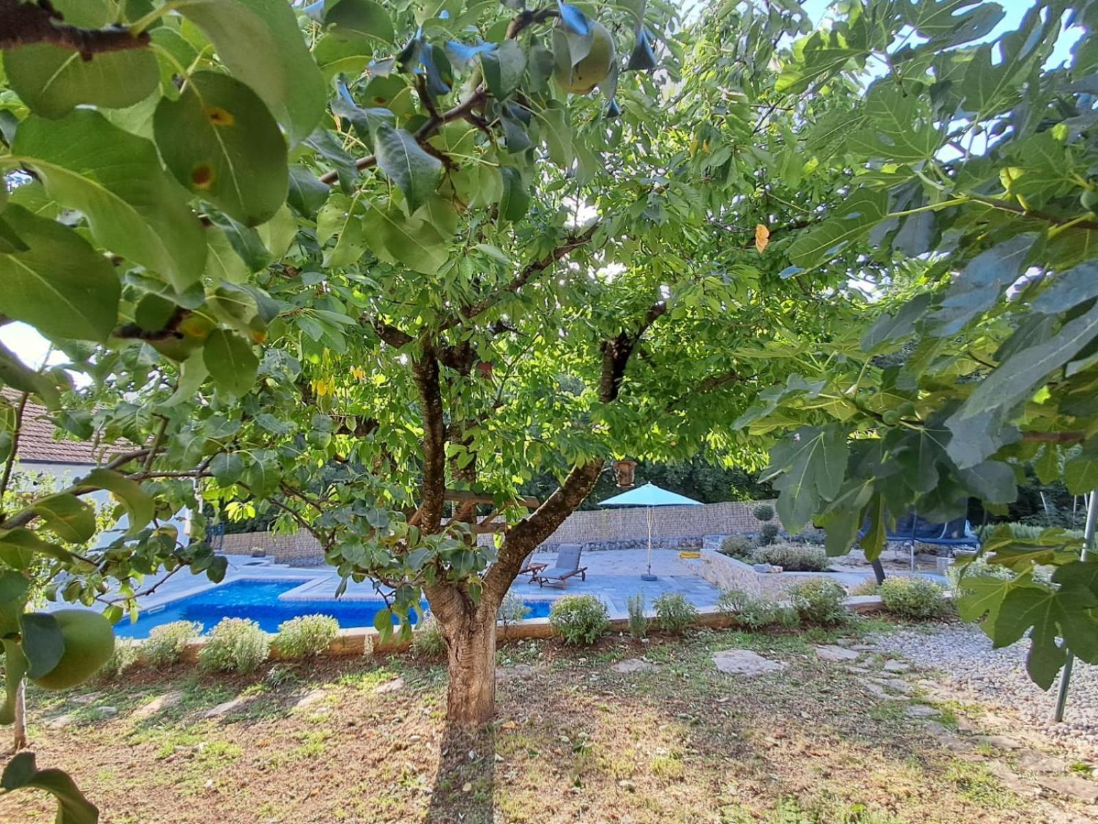Holiday Home Tone, Makarska - Drum Bagian luar foto